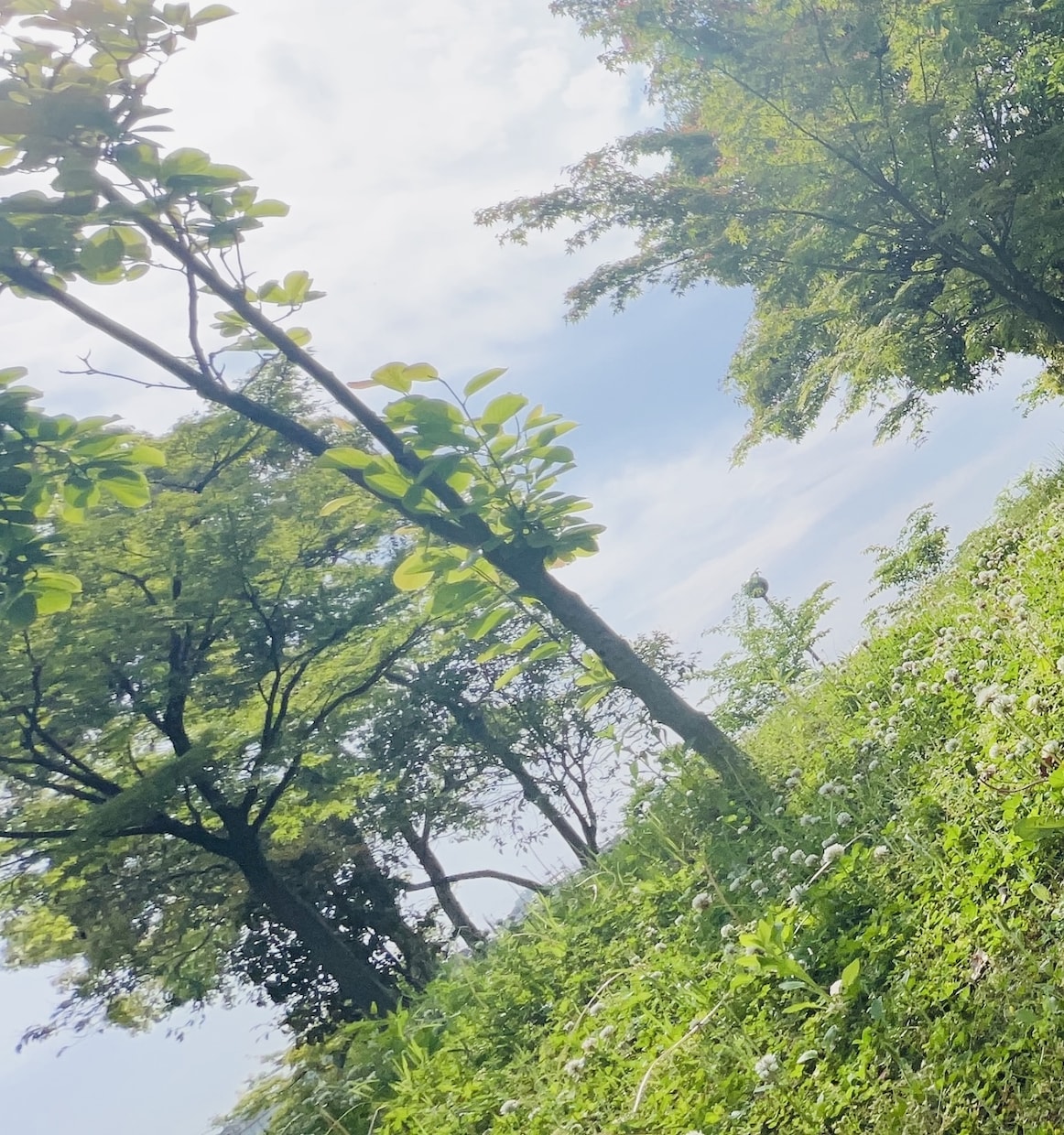 心のお悩みならどんなお話でも聞きます あなたな心のお悩み聞かせてくれませんか？ イメージ1