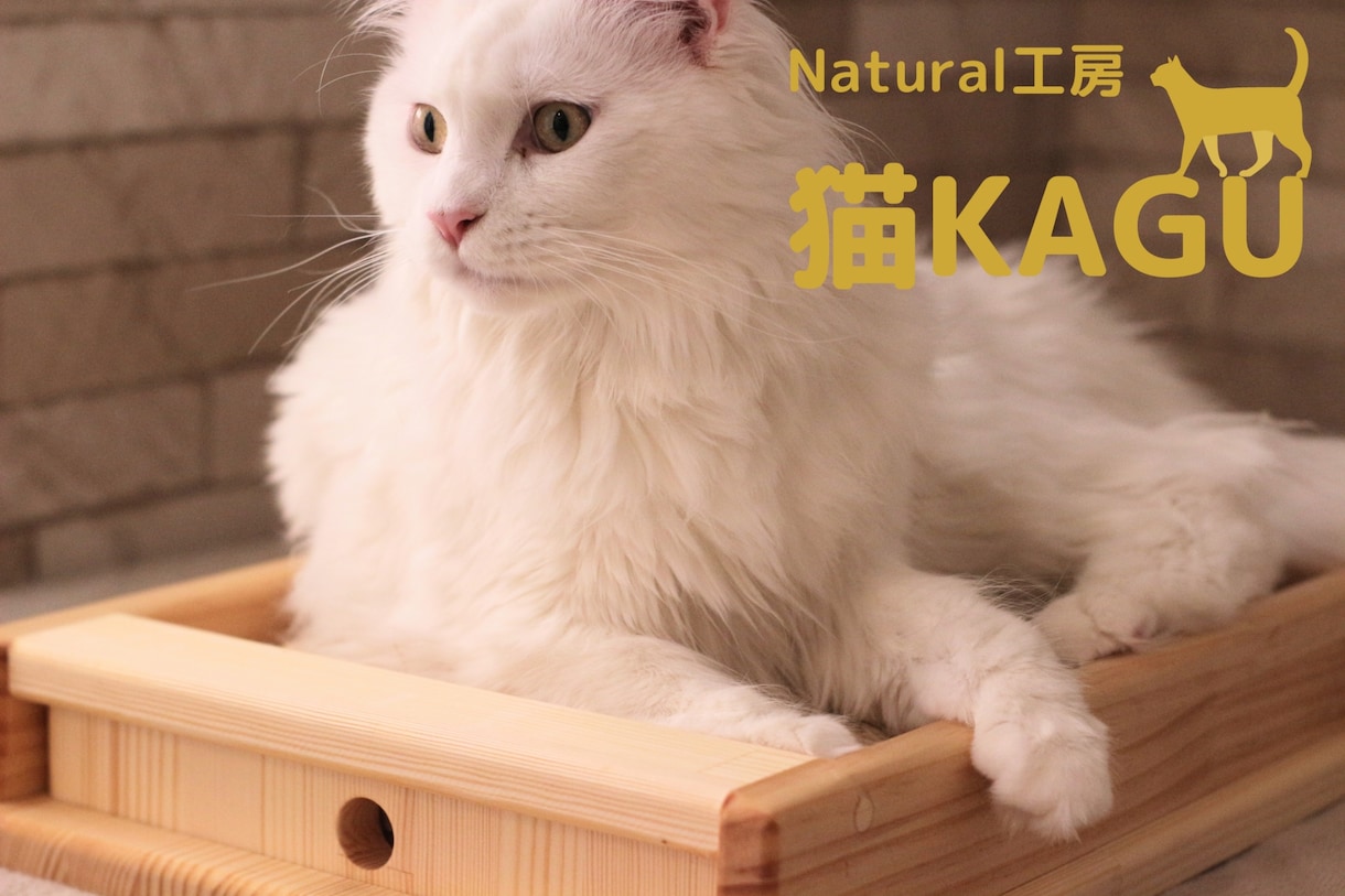 猫限定！！猫についてのお悩みや飼い方を相談できます キャットケアスペシャリスト・キャットシッターが回答します。 イメージ6