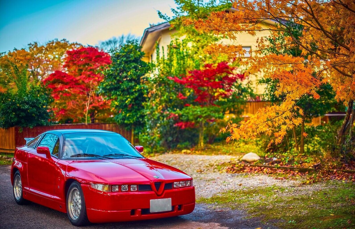 車の写真のナンバープレートを隠す処理をします 車写真のナンバープレートを画像処理にて数字が分からなくします イメージ2