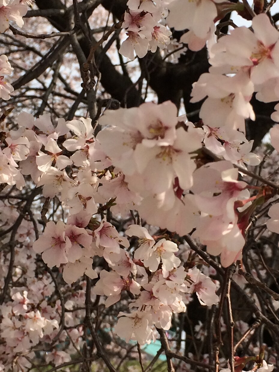 3日間LINE感覚で♡あなたにたっぷり寄り添います 何気ない会話•友達みたい•愚痴•お悩み•気軽に♡ イメージ3