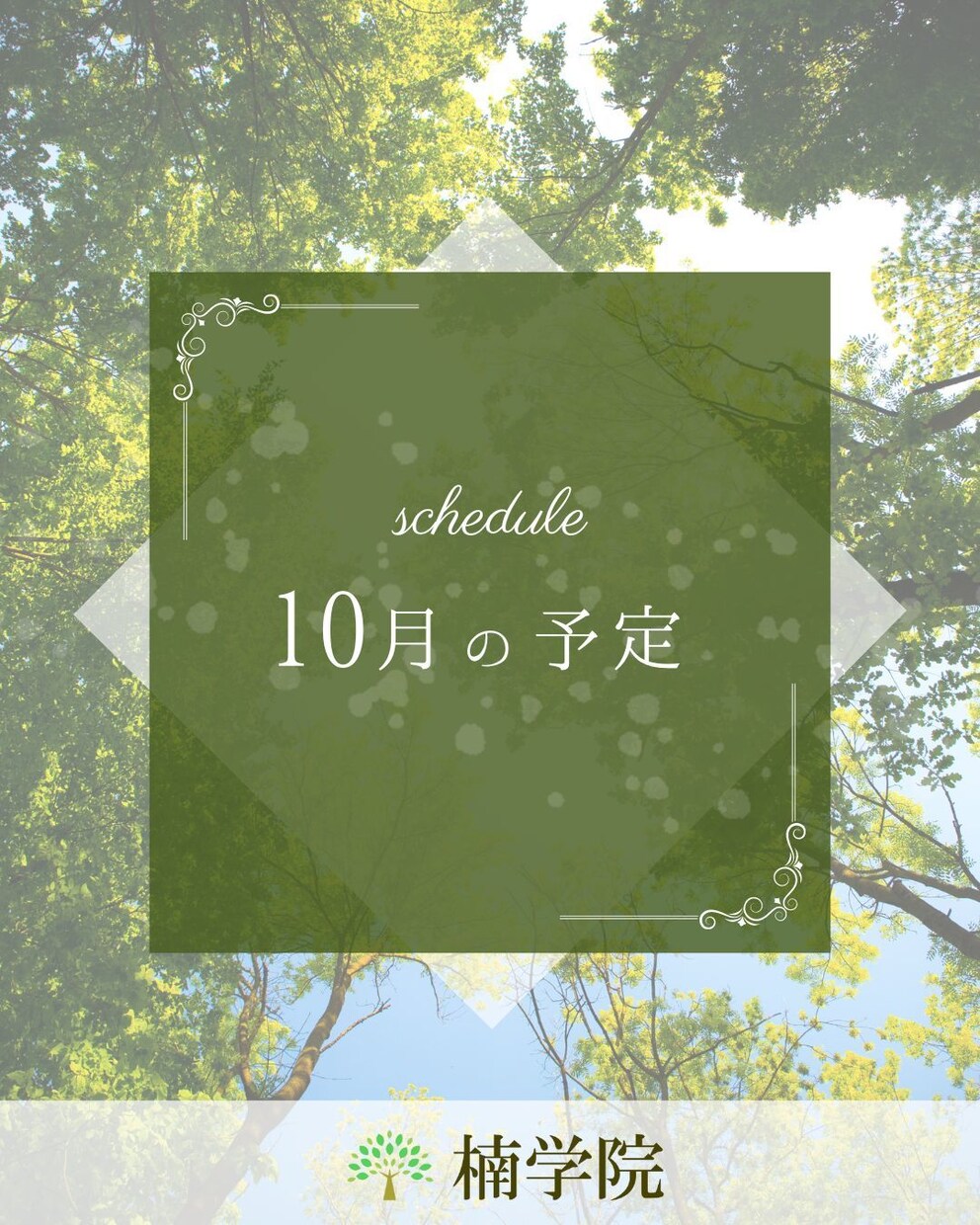 Canvaで作った編集可能なサムネイルお渡しします 次から自分でサムネイルが作れます！コミコミ価格！ イメージ7