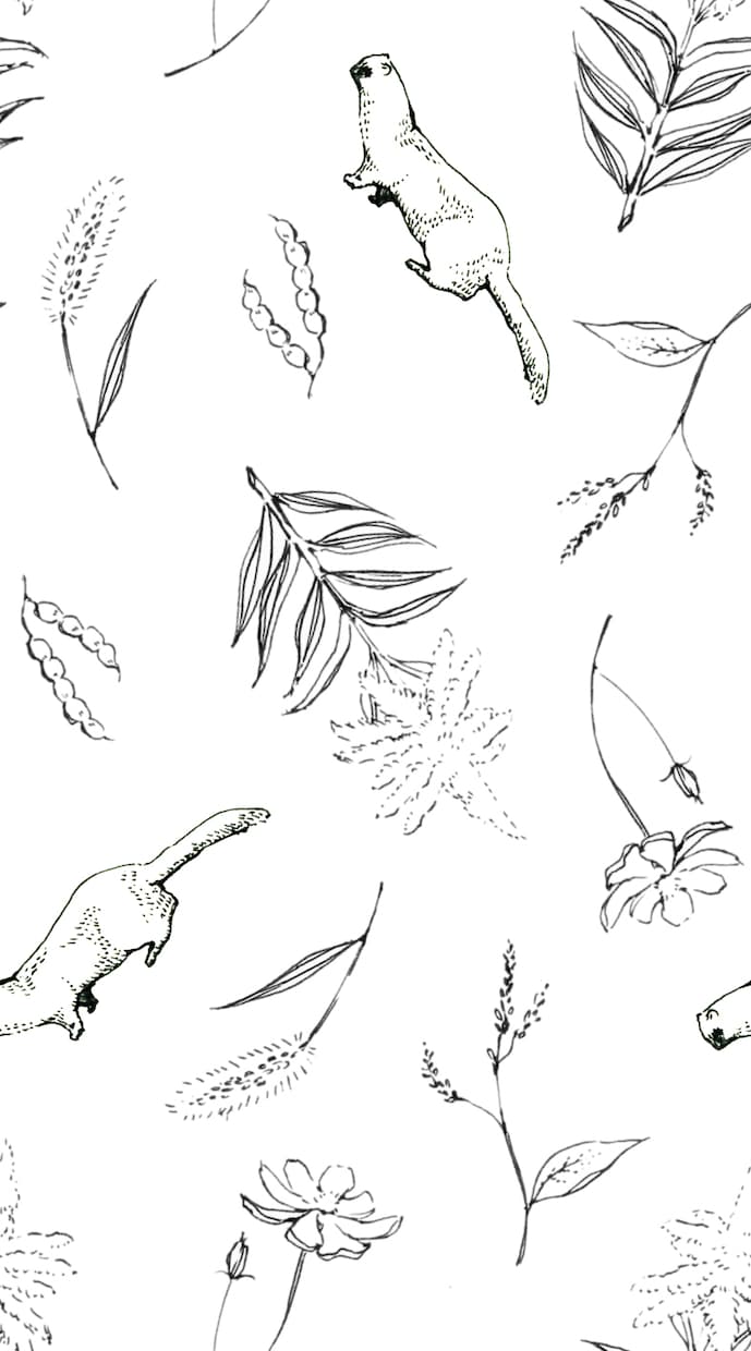 植物のイラスト(樹木、お花、ハーブ等)作成します 植栽知識を活かした様々な種類の素材を作成できます。 イメージ4