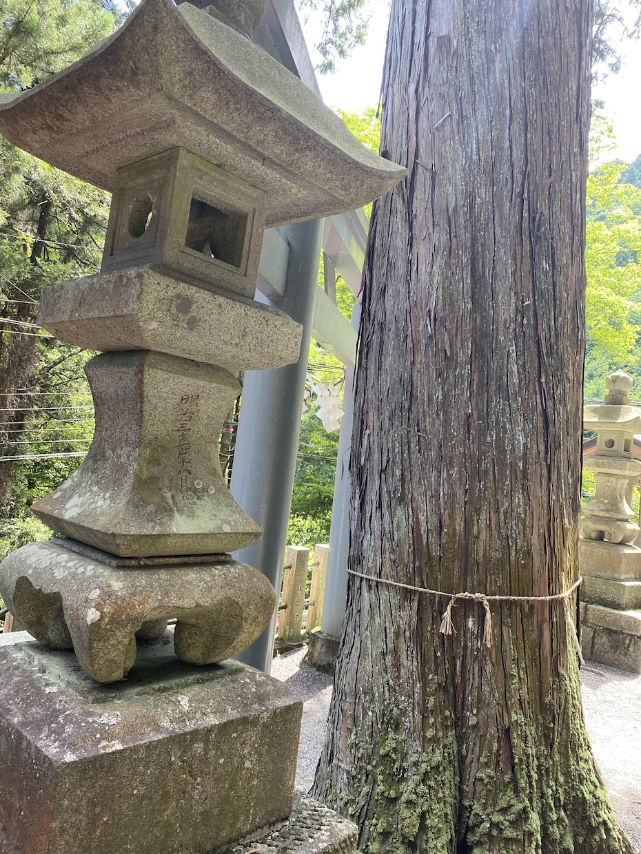 癒されたい、お話お聞きします 絡まった糸...一緒にほぐしていきましょう！ イメージ4