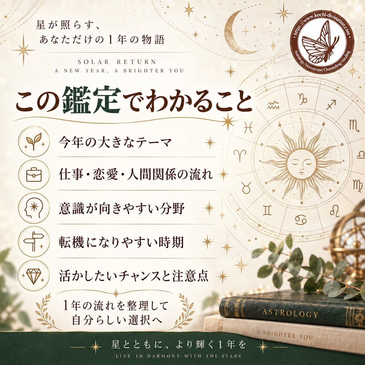 ソーラーリターン図で誕生日から1年を読み解きます テーマ・仕事・恋愛・転機を「1年の星図」から読み解きます イメージ4