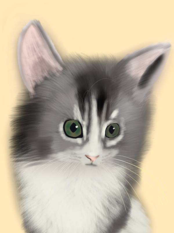 愛するウチのコのイラストを描かせて頂きます 写真をもとに、リアルでありながら温かなイラストに仕上げます。 イメージ10