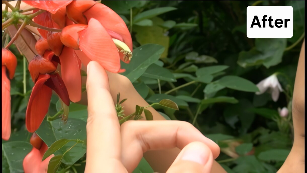 低画質の動画をAIで高画質に変換します 昔、撮影した動画など、低画質の動画をAIの力で高画質化します イメージ1
