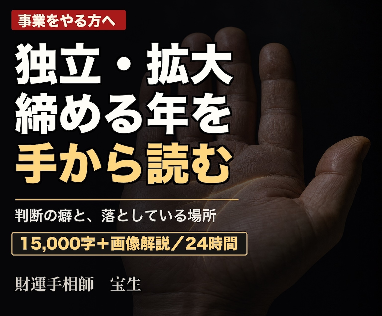 事業をやる方の財運を手相で鑑定します 独立・拡大・締める年を、手から読みます イメージ1