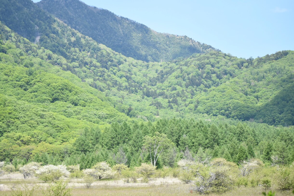 日光を中心に山の登り方や楽しみ方をお教えします (体力や時間に合わせた簡易的なプラン設定も可能です) イメージ6