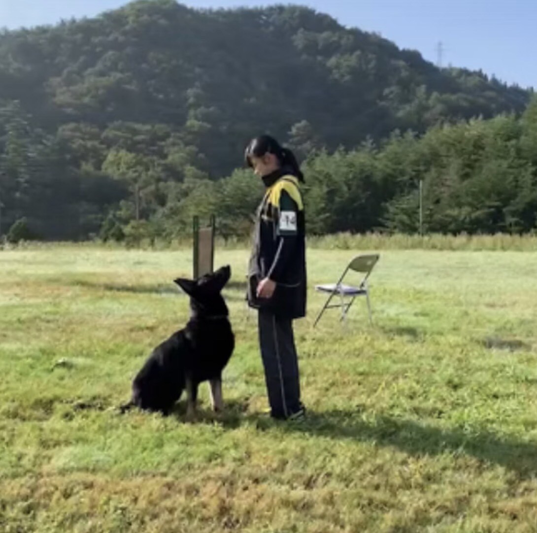 愛犬と過ごしやすくなるサービスを提供します 愛犬の飼い方や、問題行動に関するヒアリングを行います。 イメージ1