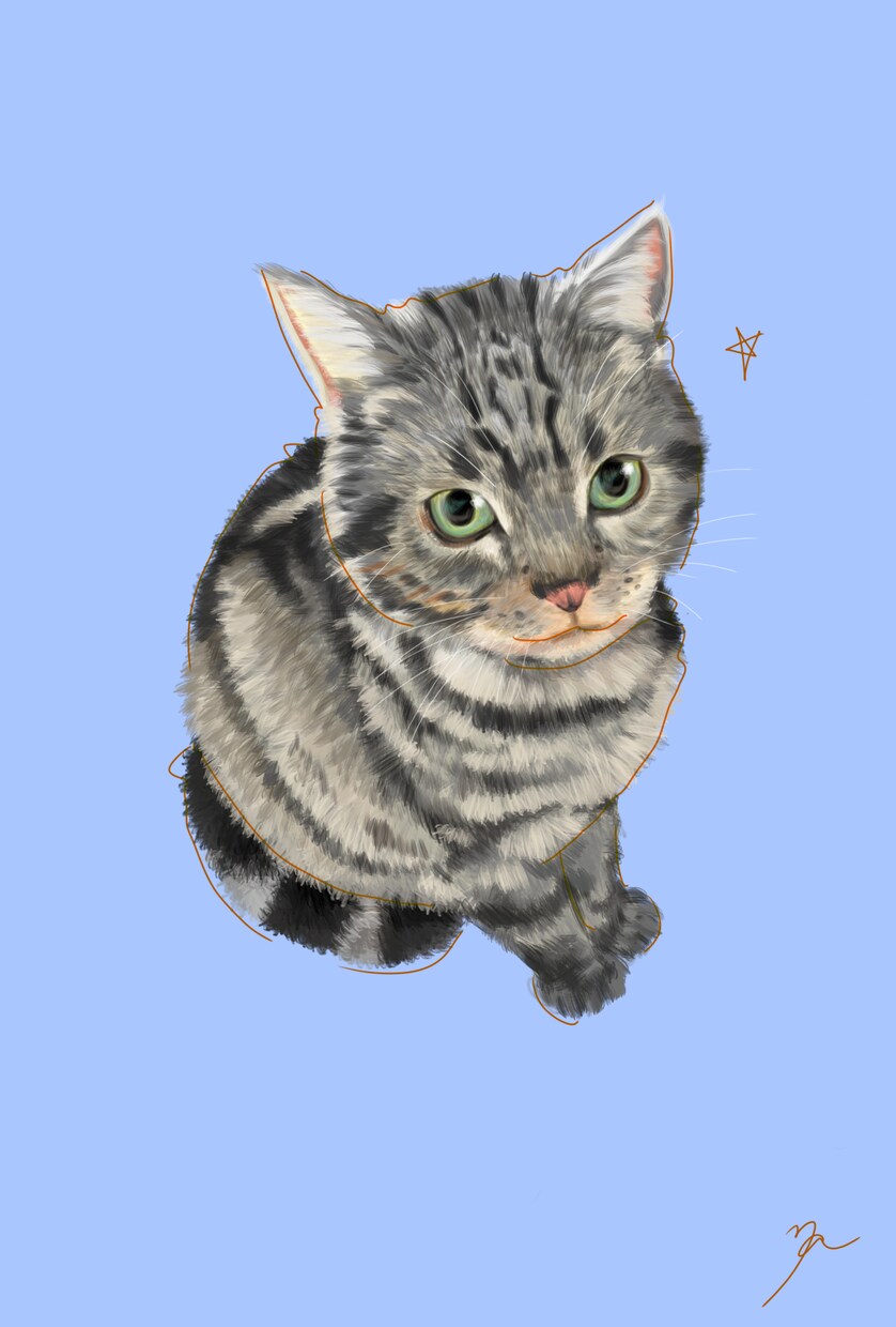 お気に入りの写真からペットのイラストを描きます リアルだけど温かみのあるデジタルイラストいかがですか？ イメージ6