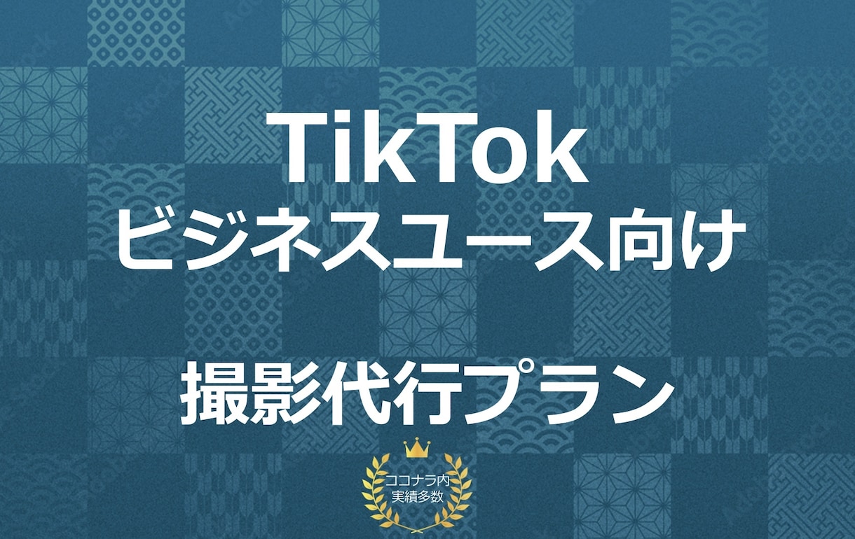 撮影から運用まで! TikTok運用行います 【ビジネスユース専門】収益を見越したTikTok運用! イメージ1