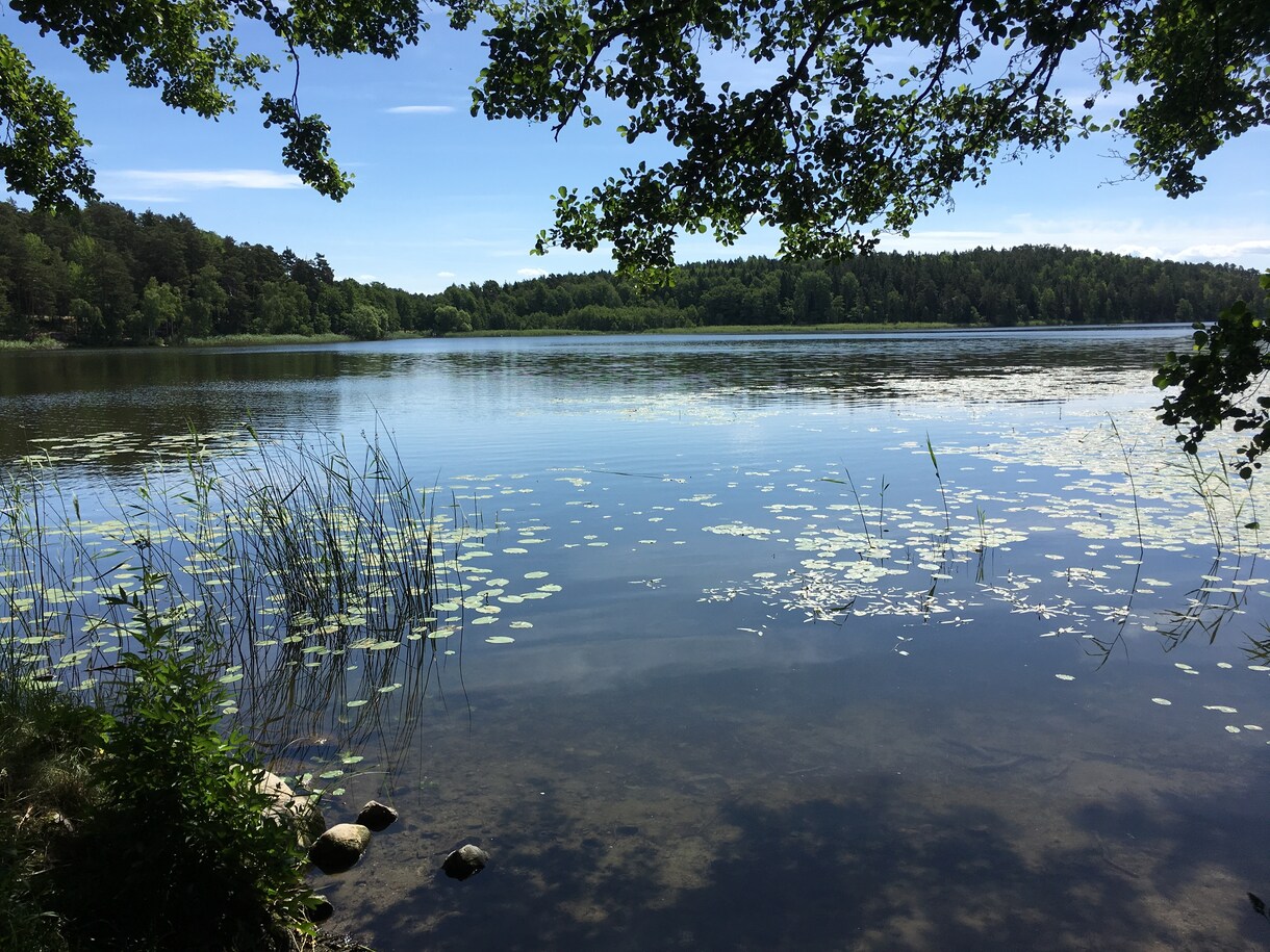 北欧スウェーデンに関するすべてのことお手伝いします スウェーデン現地企業で、スウェーデン語で働いています。 イメージ8