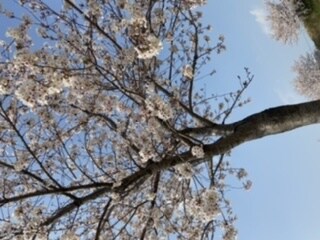 ただ話をききます 誰かに話したい！！！その話、私に聞かせてください！ イメージ1