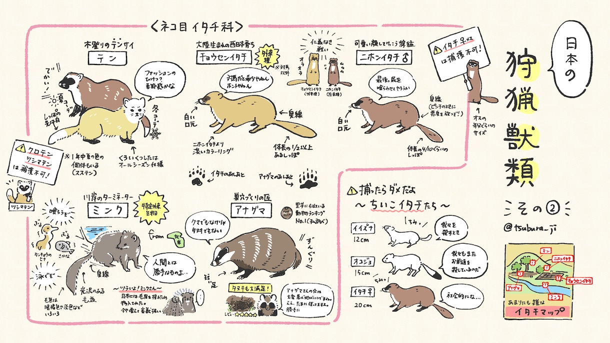 自然教室や森林学習向けのパンフレットを作成します かわいいイラストで楽しく学ぼう！ イメージ5