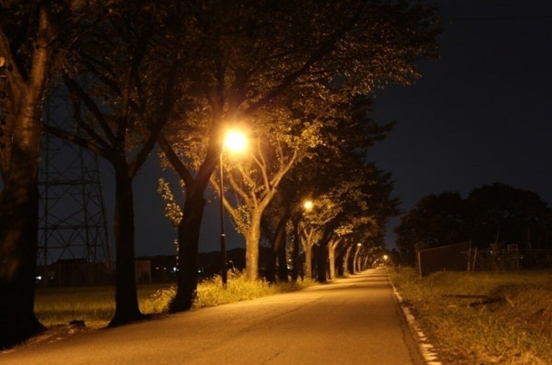 なんでも聞きます 私はいつもひとりぼっちです色々な経験値はあります イメージ3