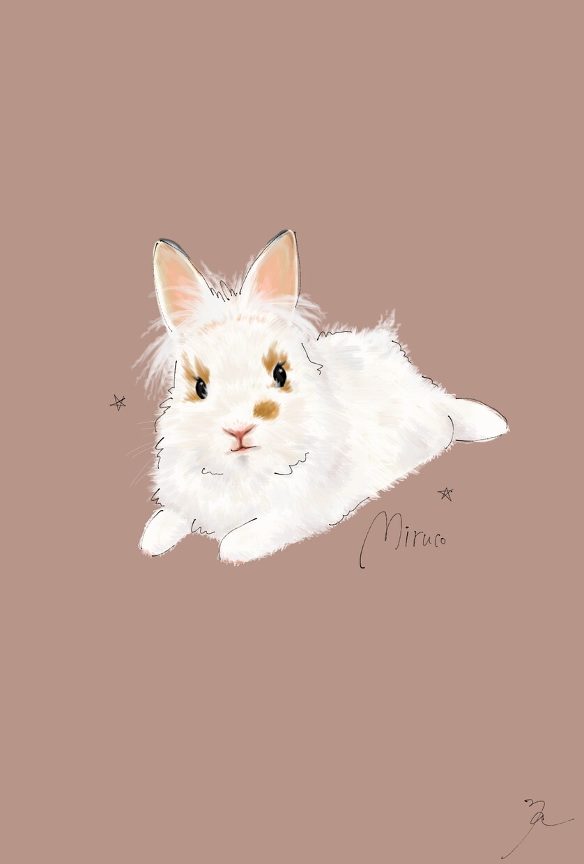 お気に入りの写真からペットのイラストを描きます リアルだけど温かみのあるデジタルイラストいかがですか？ イメージ3