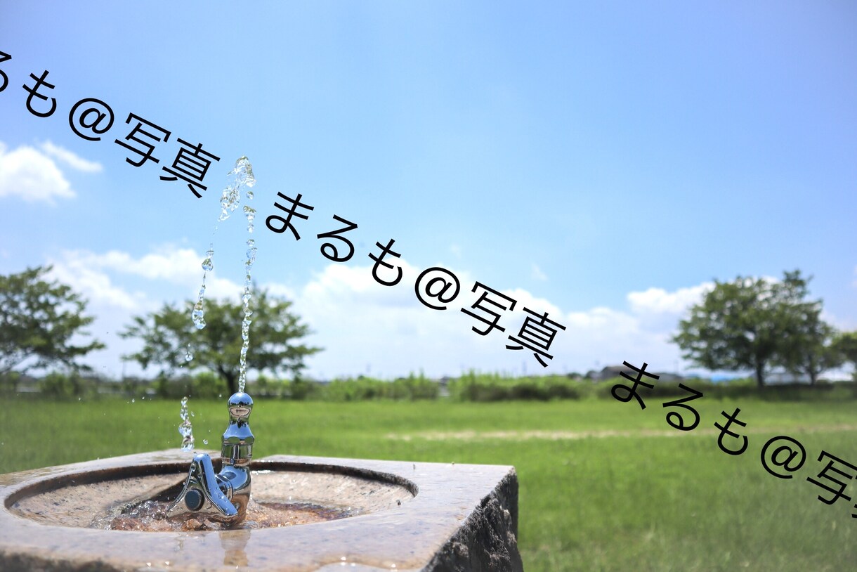 1〜3カットまで！広告等で使える写真を提供します 使い勝手の良い写真をお求めの方に！ イメージ6