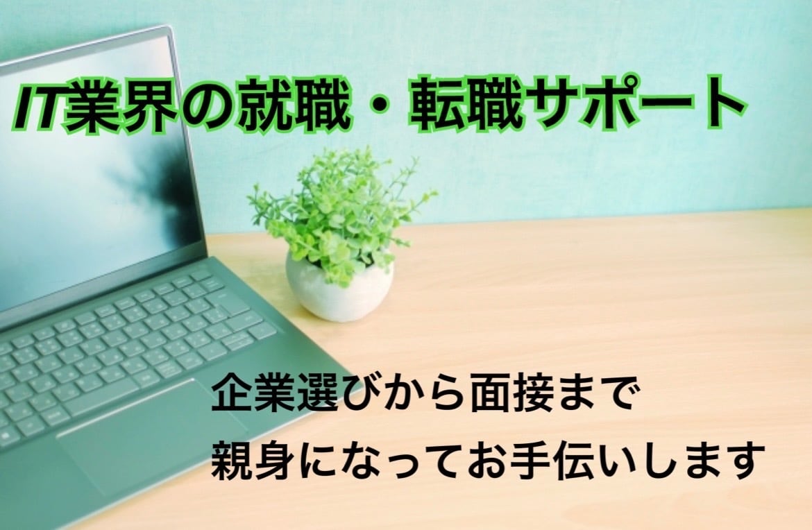 就職活動、転職活動をフォローします 外資系金融企業SEによるマンツーマン対応！ イメージ1