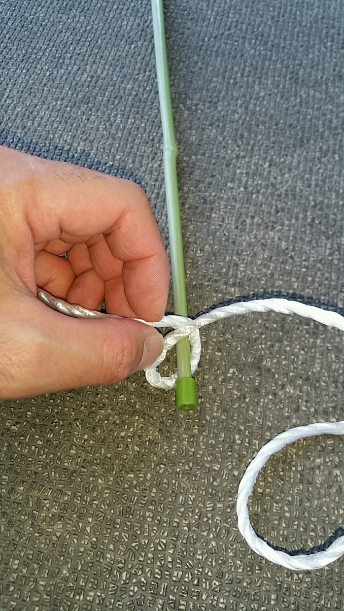 子供大好き！ザリガニ釣り入門教えます 仕掛けの作り方、釣り方まで詳しく解説！ イメージ8