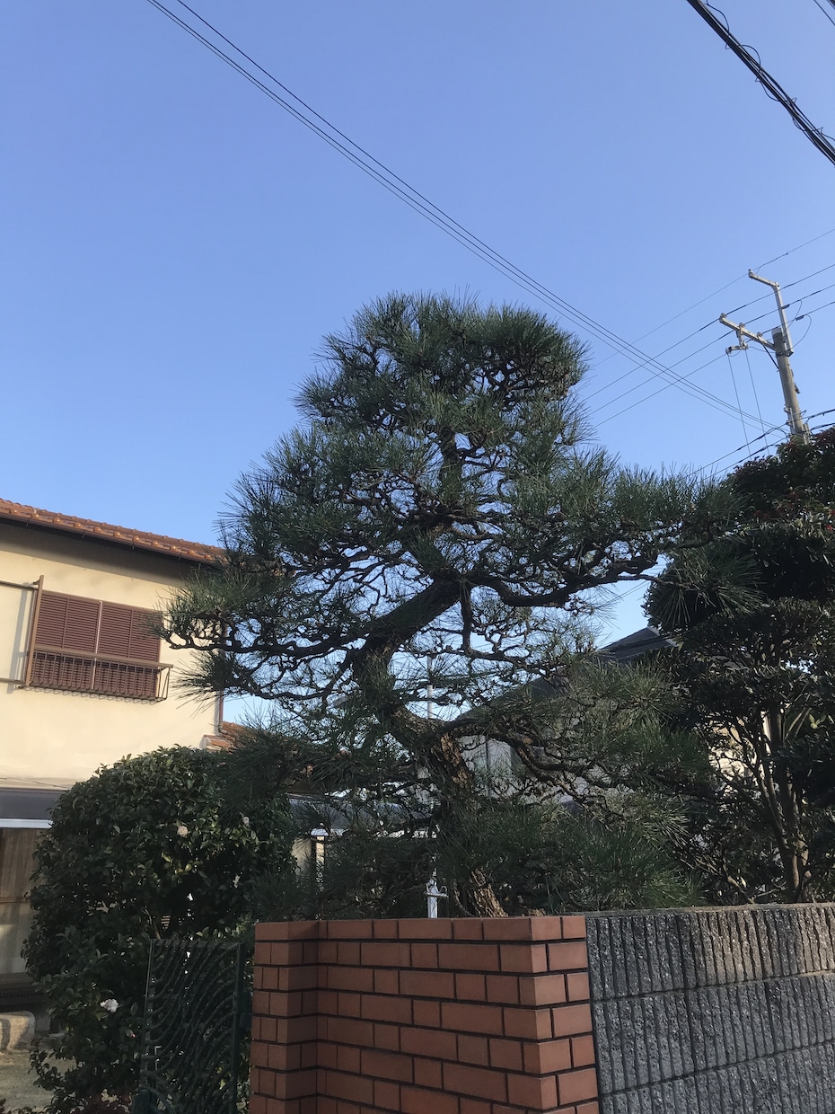 お庭のお悩み解決致します 資格一級造園技能士一級造園施工管理技士職業訓練指導員造園科 イメージ3