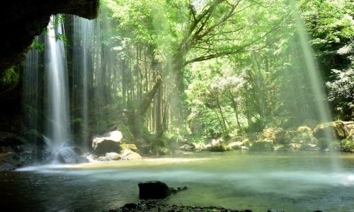大安×大明日×一粒万倍日｜霊視・ヒーリングします 願いが叶う未来へ心と運気を整えます イメージ5