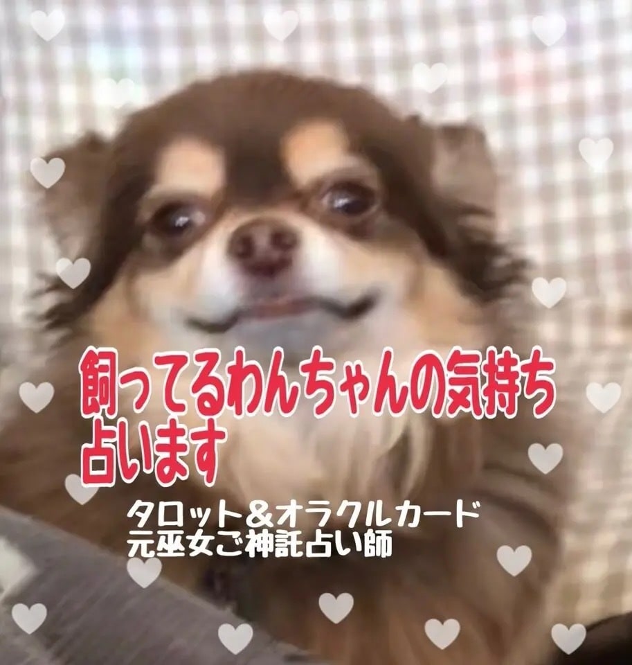 飼ってる犬の気持ち占います 飼ってる愛犬の気持ちをお伝えします。 イメージ3