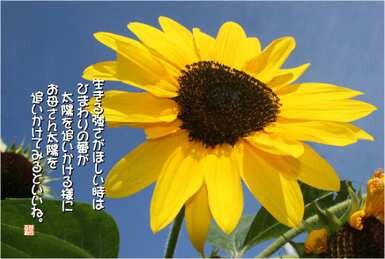 １人で抱えて込んでいませんか？気持ちが軽くなれるようお手伝いさせてくださいね♪ イメージ1
