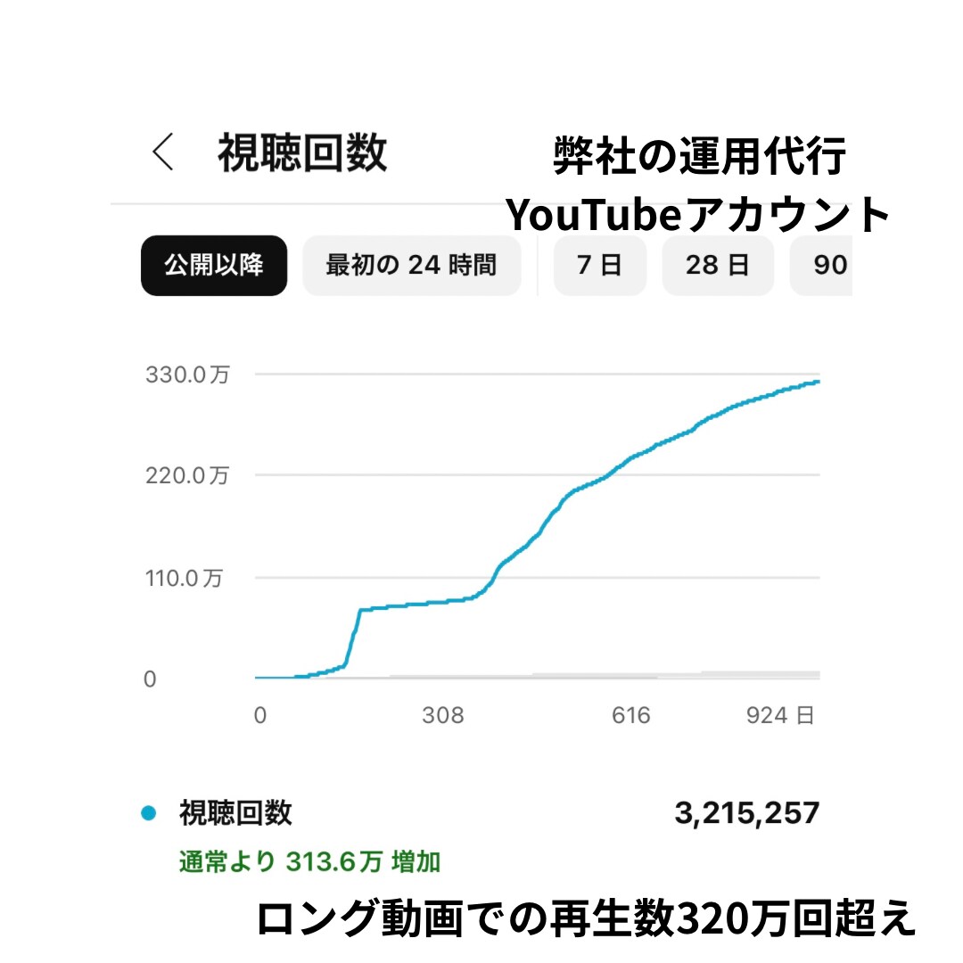 フォロワー50万人実績の弊社がSNS運用代行します 【運用実績200件以上】総フォロワー50万人超えの本格運用 イメージ3