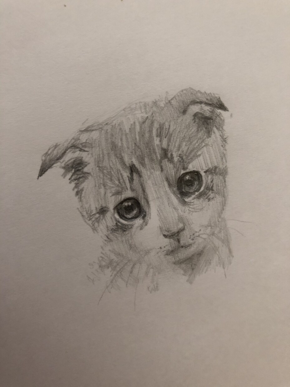 絵(デッサン、水彩ほか)の指導をさせていただきます (初心者向け)【一人一人の方に沿ったアドバイスをします】 イメージ4