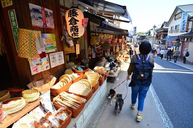 人生に飽きてしまってる方相談のります 何していいか分からない、家でゴロゴロしててつまらないあなたへ イメージ3