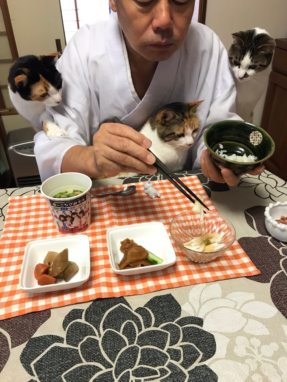 あなたを癒してくれる歌チョイスします 最近疲れて癒されたいなという人へ イメージ1