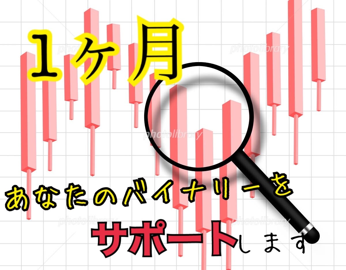 バイナリーのエントリーポイント分析します 1ヶ月！あなたのバイナリーのエントリーポイントを分析します！ イメージ1