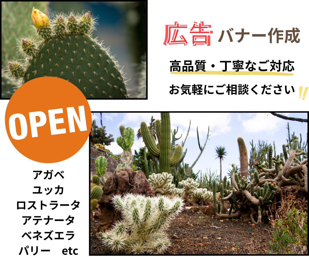クリック倍増LINEリッチメニューを作成いたします 思いをかたちに！分かりやすい画像で集客UPをお手伝いします。 イメージ9