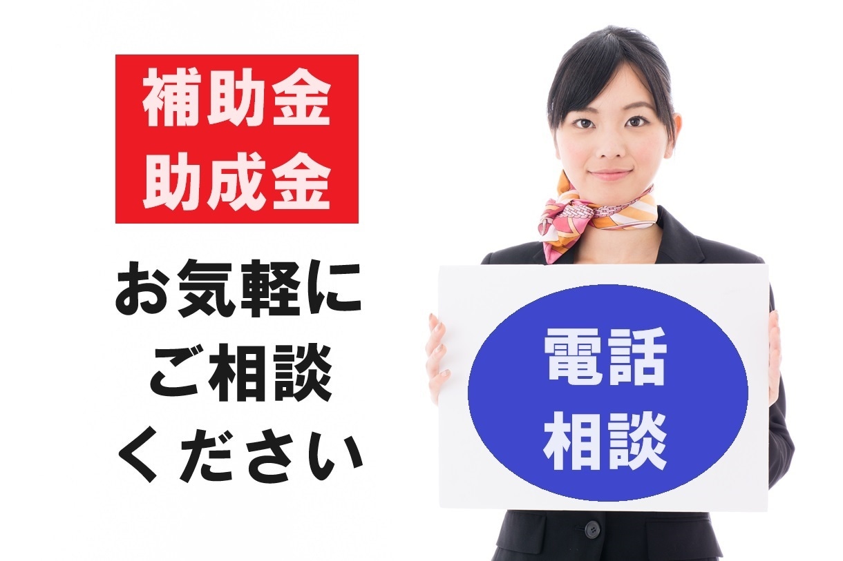 補助金・助成金に関するご相談に対応します 20年以上の行政実務経験に基づいたアドバイスをします イメージ1