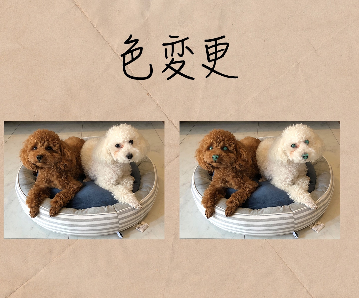 写真や画像などの編集・加工します あなたのデザインをお手頃価格で形にします イメージ5