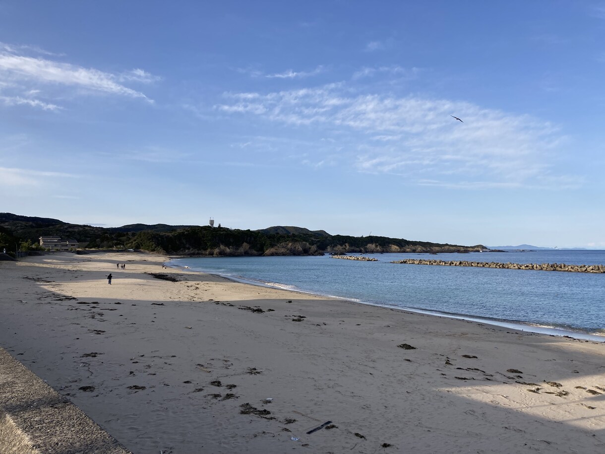 あなたの気持ちをラクにできます つい話したくなると言われるミミにあなたも話してみませんか？ イメージ4