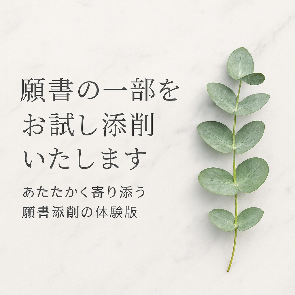 願書の一部をお試し添削します 幼稚園・小学校受験受験の願書作成お助けします イメージ1