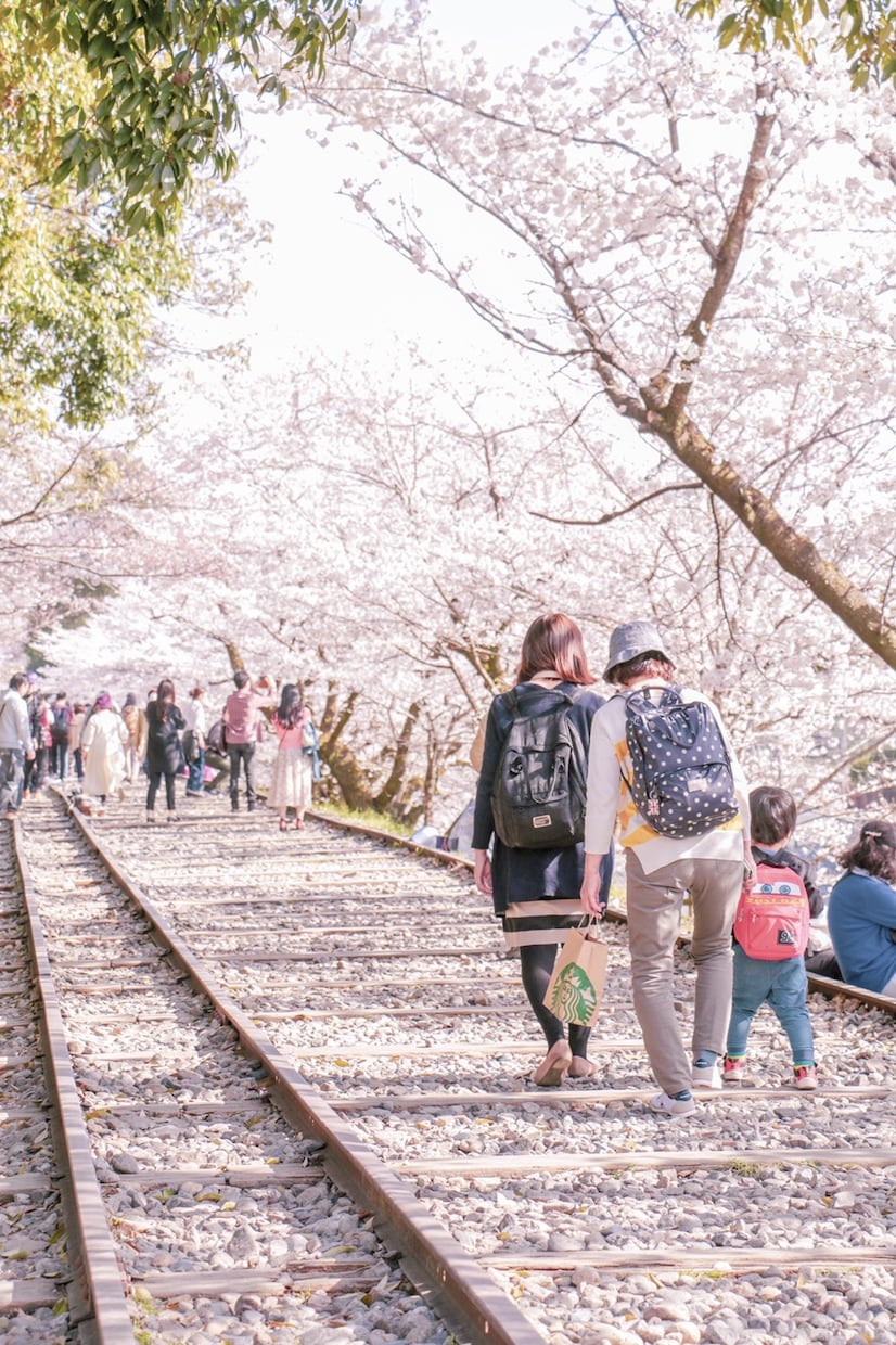 京都の魅力は「◯◯◯◯◯！」旅行プランニングします 知らなきゃ勿体無い京都の魅力をご紹介【3名限定】 イメージ2