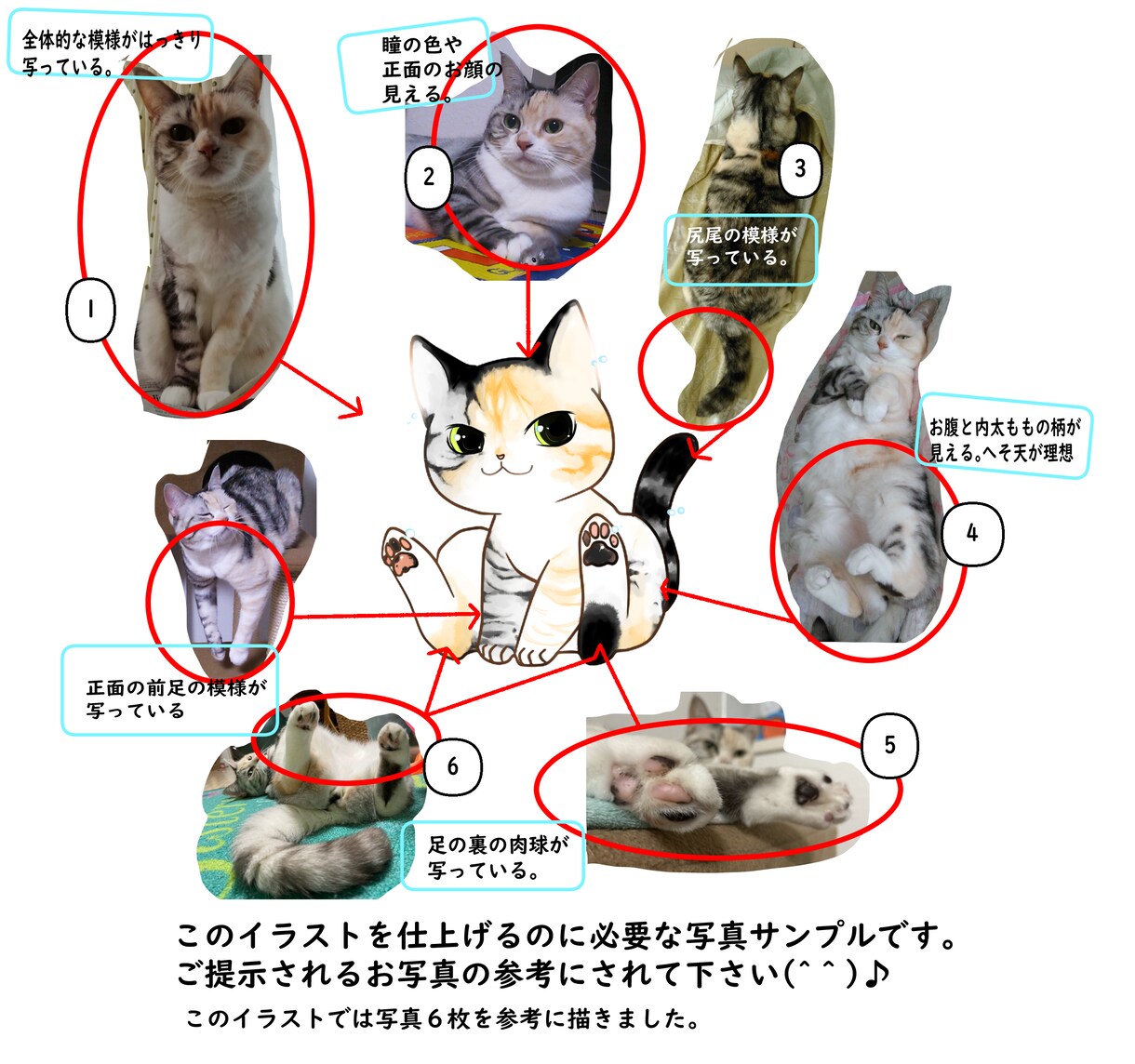 可愛いペットの似顔絵SNSアイコン描きます プレゼントやグッズ、返礼品、ブログ等用途多彩に承ります！ イメージ5