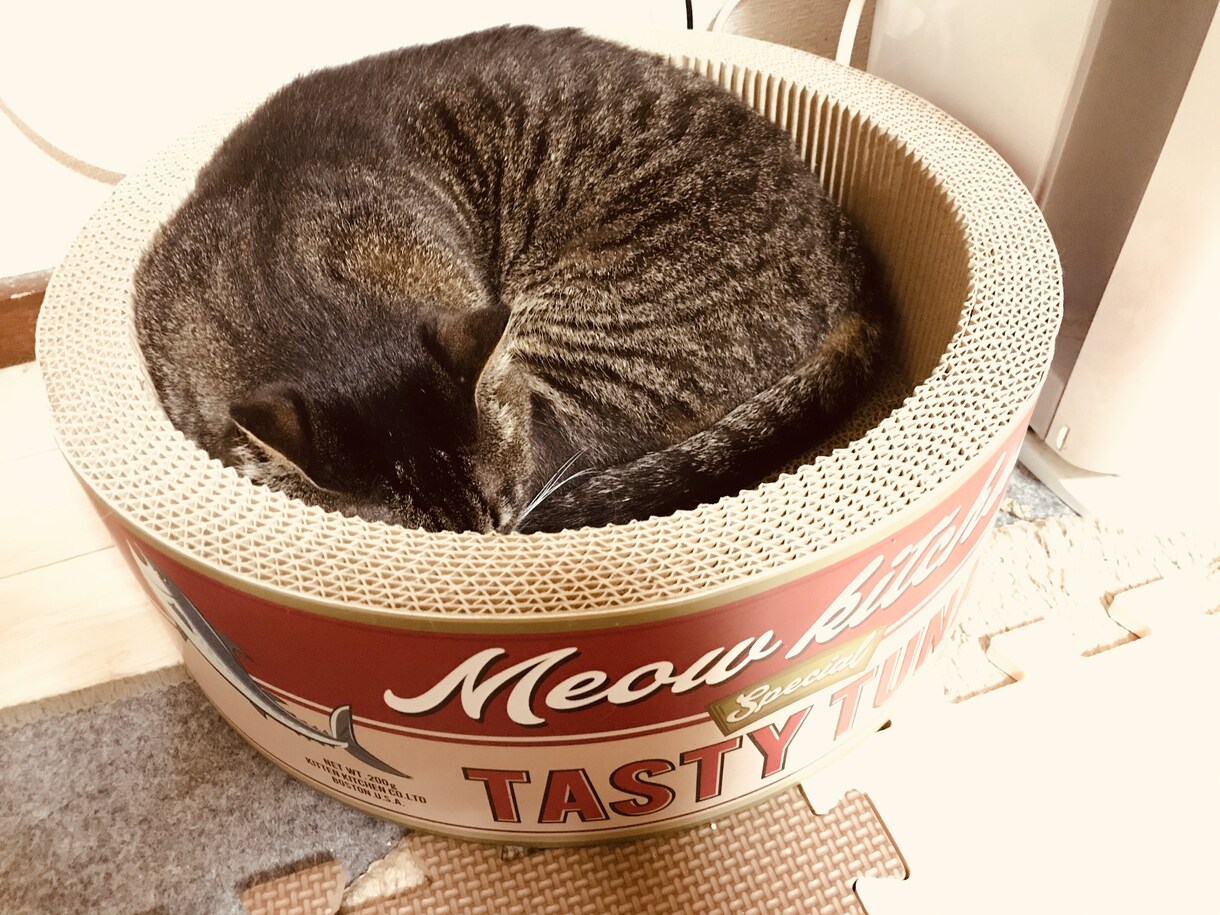 あなたのお悩みにお答え致します メンタル心理士上級の私があなたのお悩みにお答え致します イメージ1