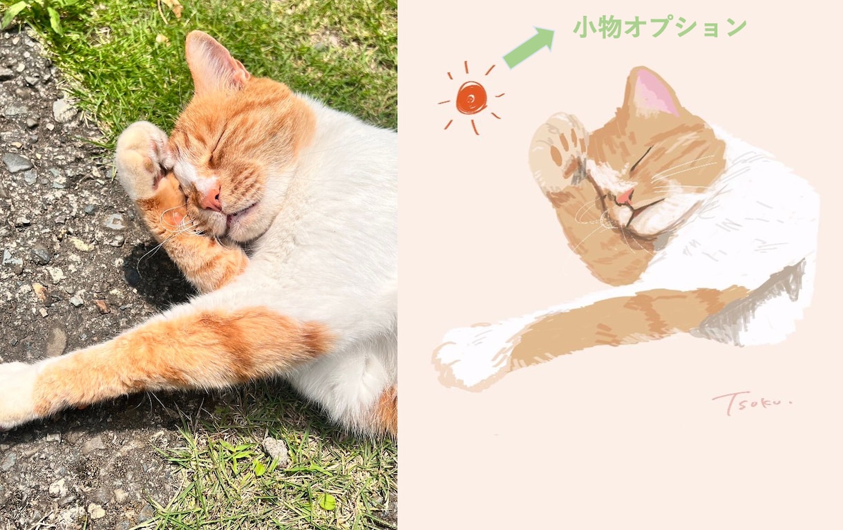 迅速納品！ペットの個性が溢れたイラストを作成します 獣医師希望水族館飼育員が命を吹き込むゆるふわペットアート イメージ2