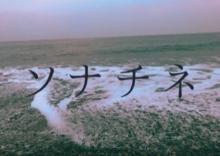 当て書きCOCシナリオ書きます 探索者、うちの子の良さを引き出すようなシナリオを書きます。 イメージ3