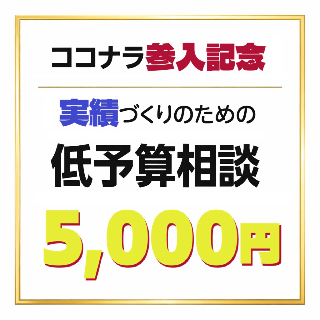 実績づくりのための低予算相談を承ります ココナラ参入記念！初回限定5,000円の相談プラン イメージ1