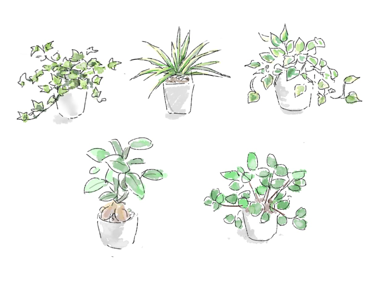 汎用性のある水彩風挿絵、カットイラスト制作します プレゼン資料、web,広告等、汎用性の高い挿絵イラスト イメージ9