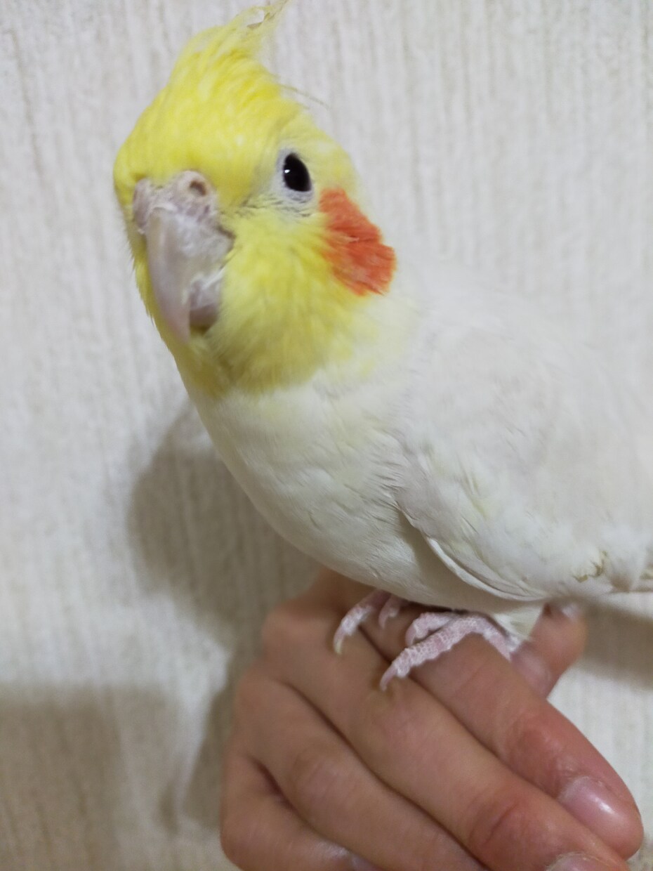 あなたのお悩みを聞きます hspで社会不安障害持ちのママです。人間関係のお悩み聞きます イメージ1