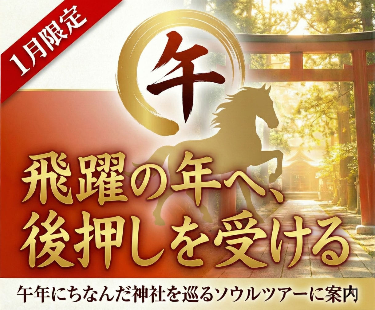 午年にちなんだ神社を巡るソウルツアーに案内します 【1月限定】午に関連する神社のご利益で今年の開運を イメージ1