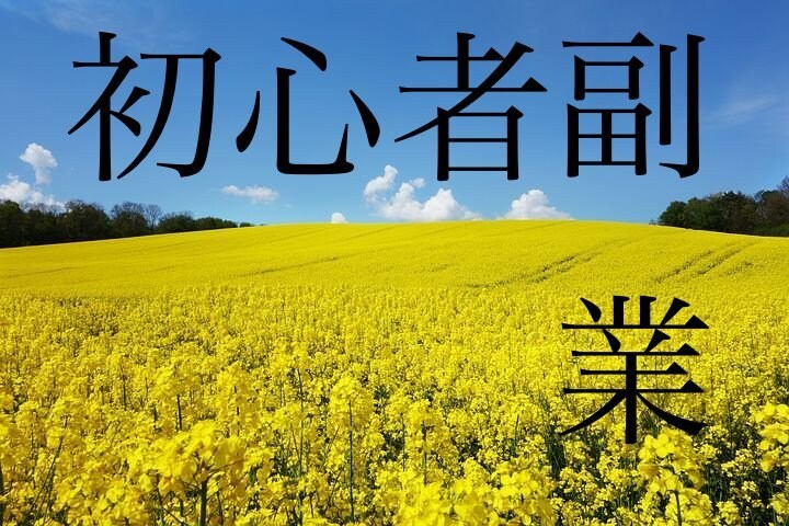 初心者、老若男女でも簡単で安全な副業教えます これから副業始めたい方必見です！ イメージ1