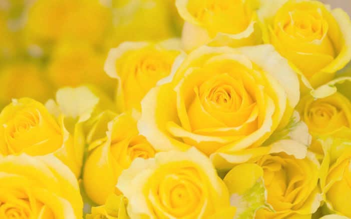 深層深くから状況を鑑定し、薔薇色パワーを送ります ‼️恋愛、複雑な恋愛、仕事、人間関係に！お困りの方必見‼️ イメージ7