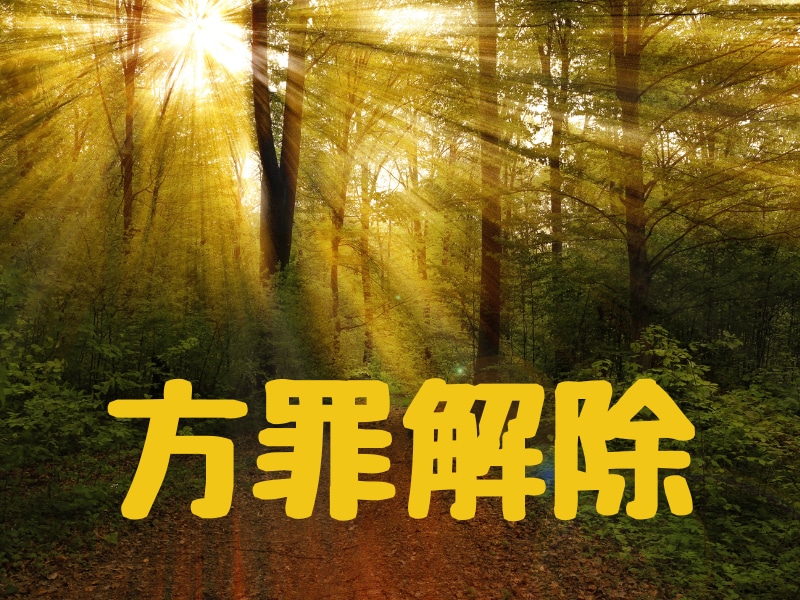 凶方位へ行かれる方、方罪解除をさせていただきます 2025年は南西、北西、北東が凶方位です。個人的なのは応相談 イメージ1