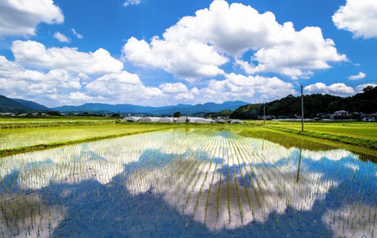全肯定宇宙人がチャット形式で癒します 否定ばかりをされて疲れていませんか？自分を責めてませんか？ イメージ5